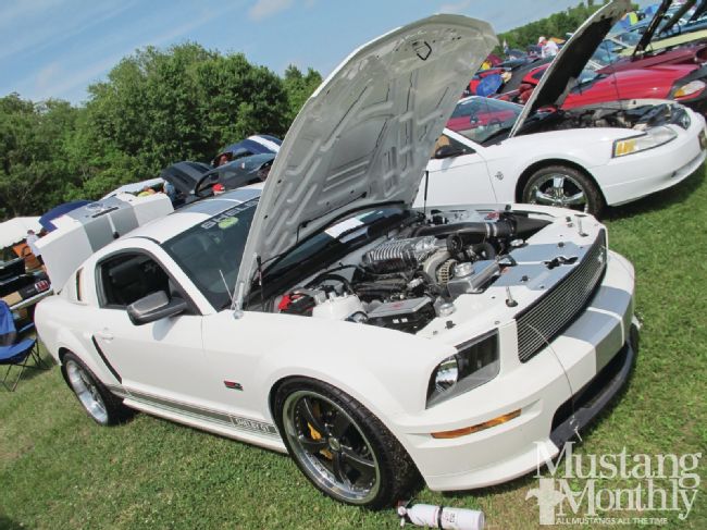 How To: Fire Protection For Your Mustang